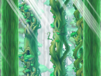 2話　迷うことなく魔法使い